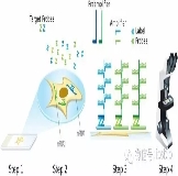 【技術(shù)專欄】ncRNA研究利器：RNAscope原位雜交技術(shù)