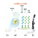 【技術(shù)專欄】ncRNA研究利器：RNAscope原位雜交技術(shù)